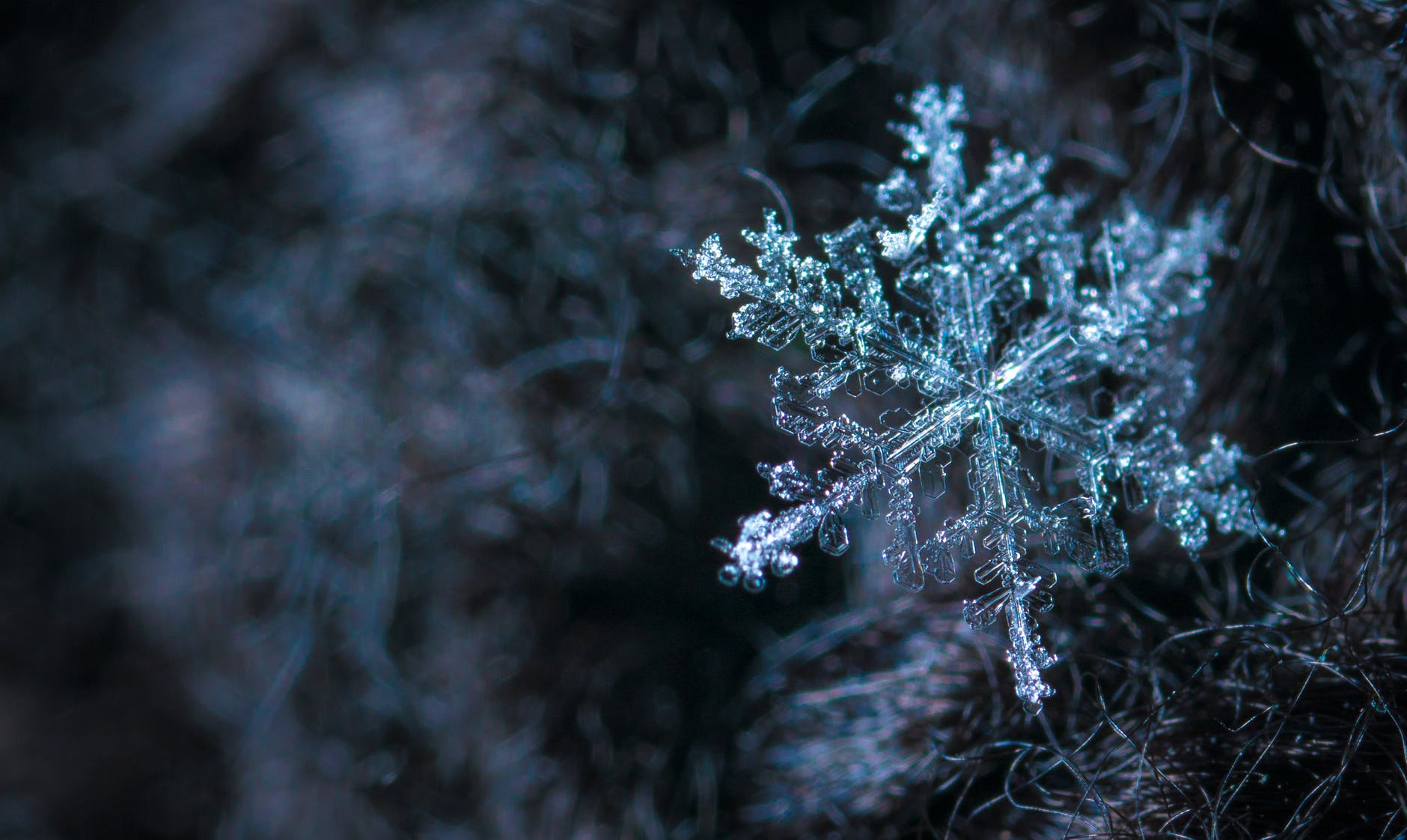 A WINTER HEART